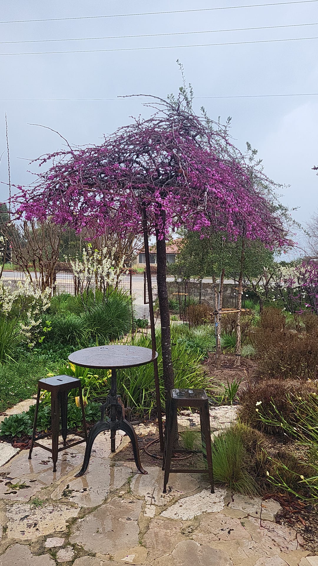 WhatsApp Image 2025-08-13 at 23.06.24