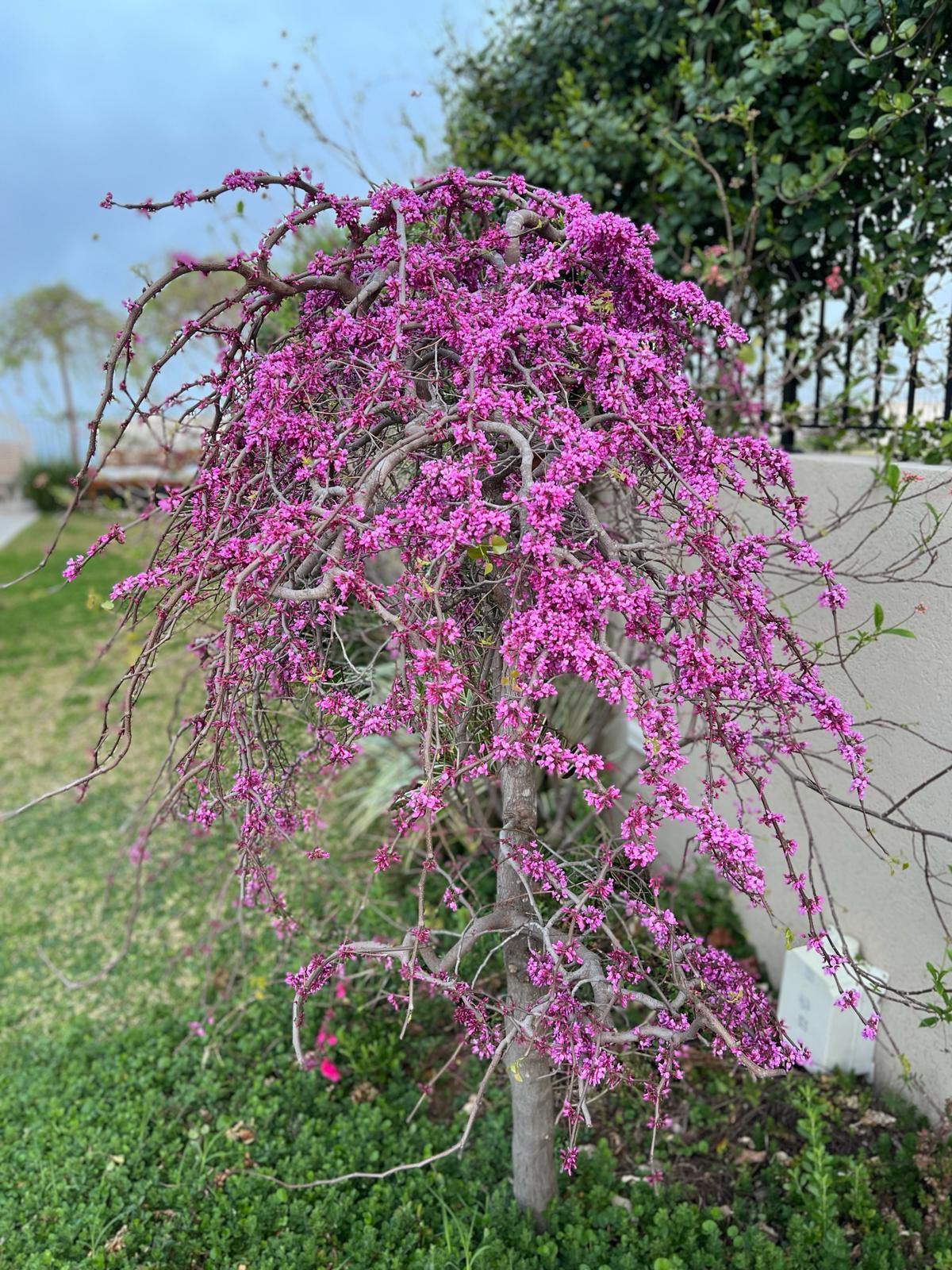 WhatsApp Image 2025-08-13 at 23.06.25 (1)