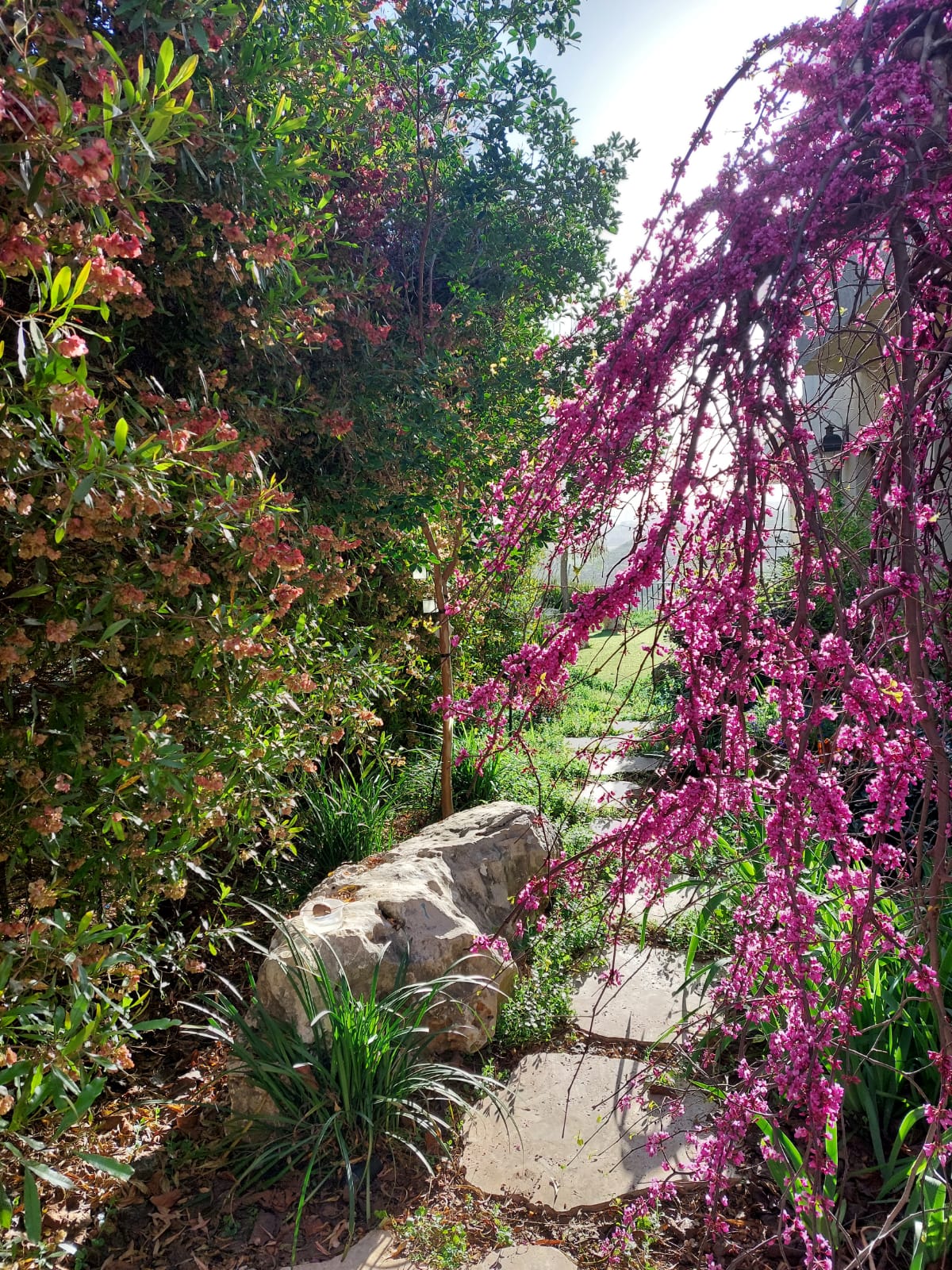 WhatsApp Image 2025-08-13 at 23.06.25