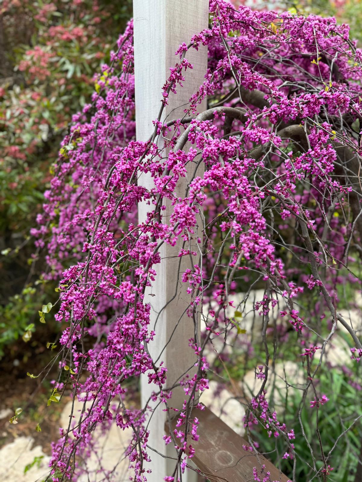 WhatsApp Image 2025-08-13 at 23.06.26