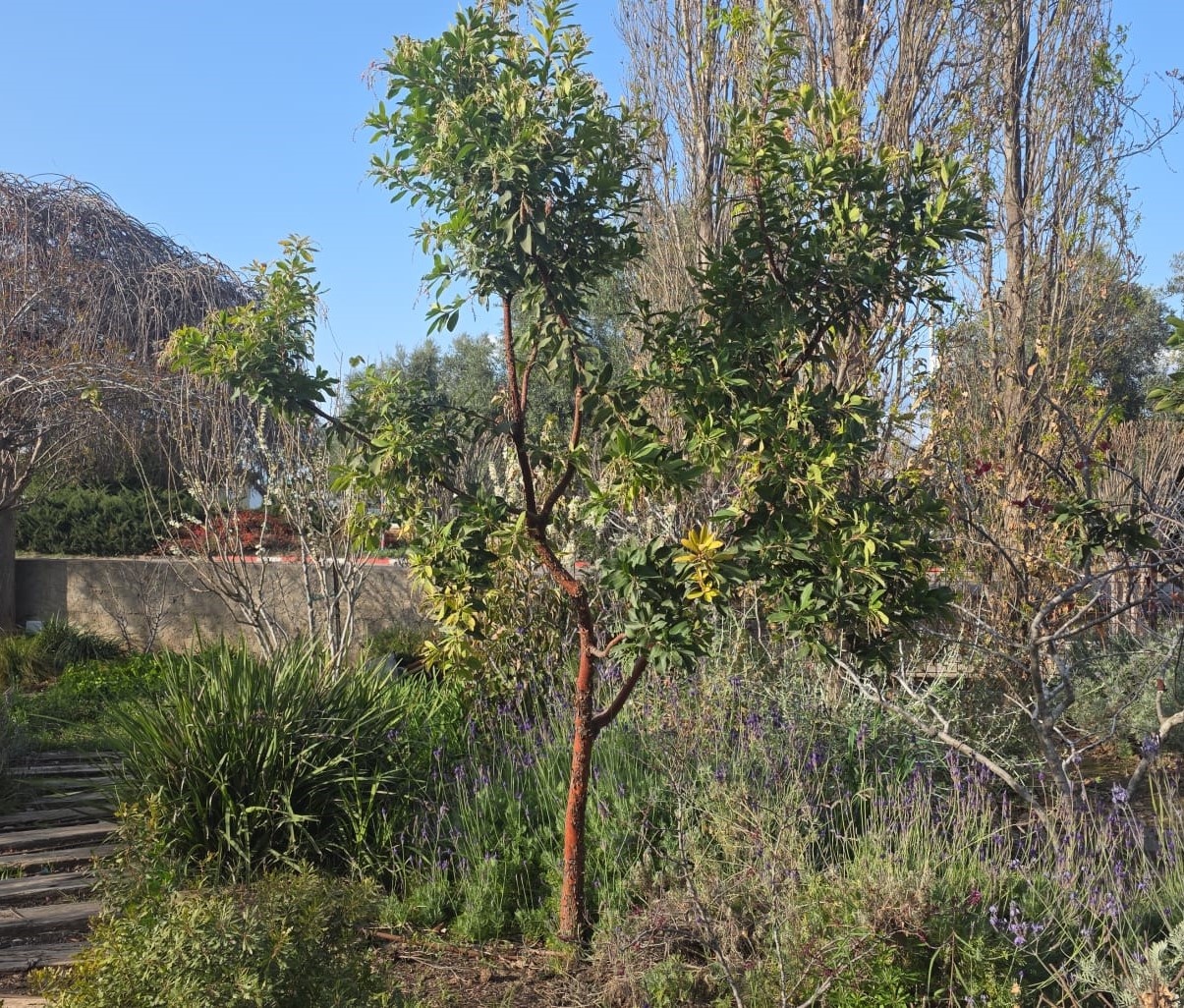 WhatsApp Image 2026-03-04 at 16.03.39