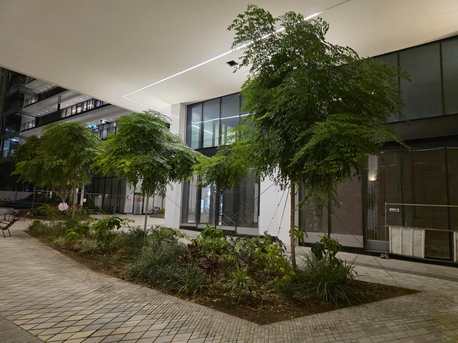 WhatsApp Image 2026-03-04 at 18.17.27