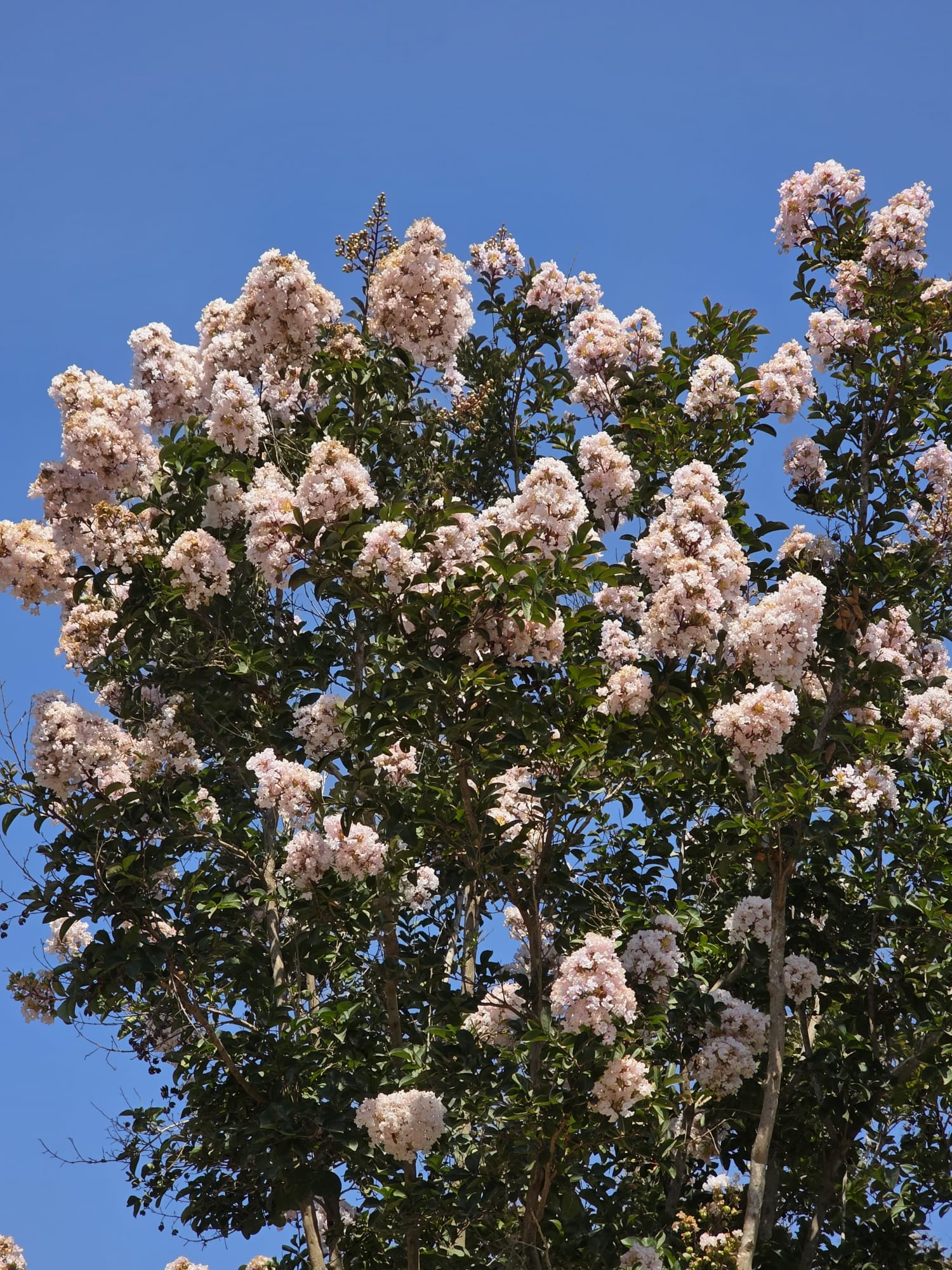 WhatsApp Image 2026-03-05 at 15.58.21 (1)