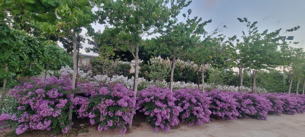 WhatsApp Image 2026-03-05 at 16.39.28