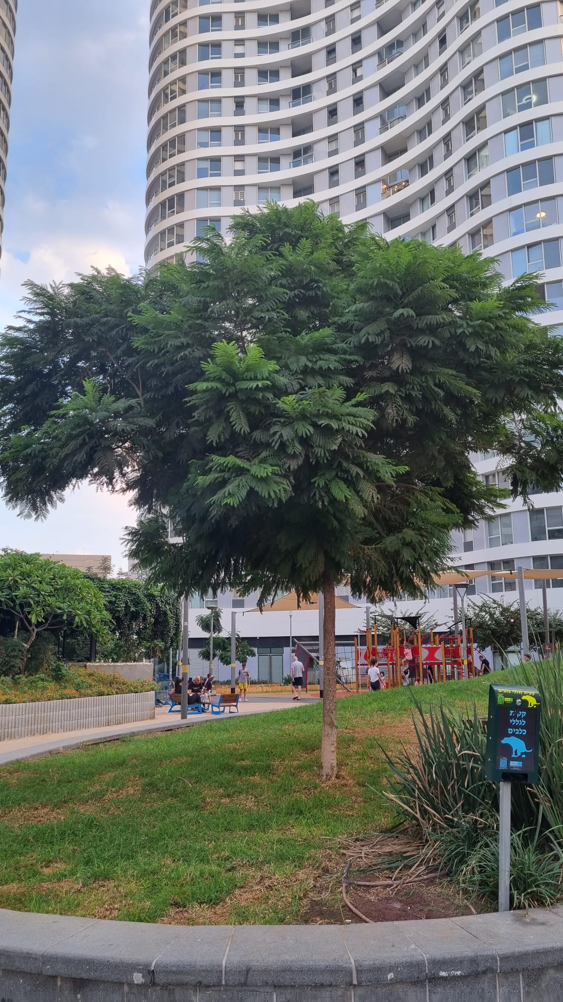 WhatsApp Image 2026-03-08 at 17.36.35 (1)