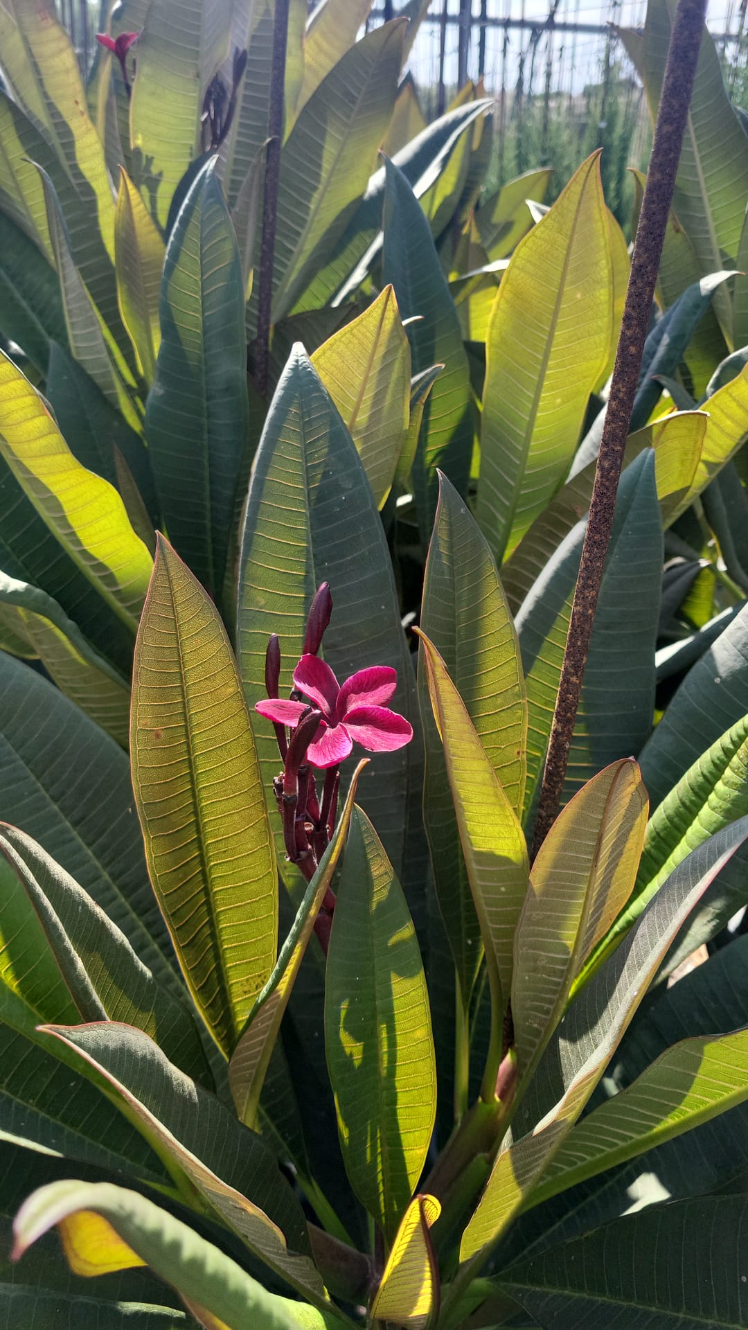 WhatsApp Image 2026-03-08 at 17.43.01 (1)