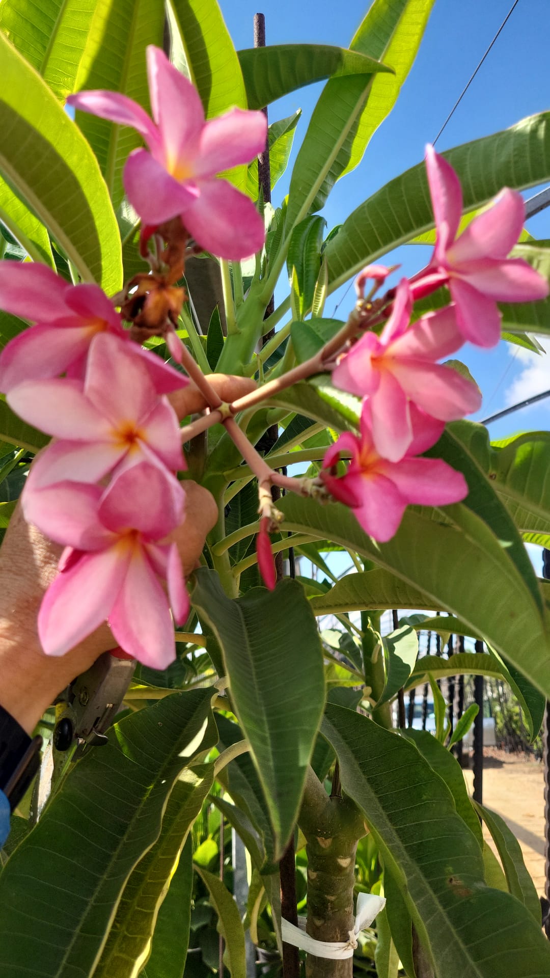 WhatsApp Image 2026-03-08 at 17.43.01 (2)