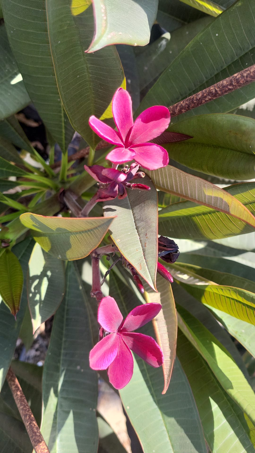 WhatsApp Image 2026-03-08 at 17.43.01