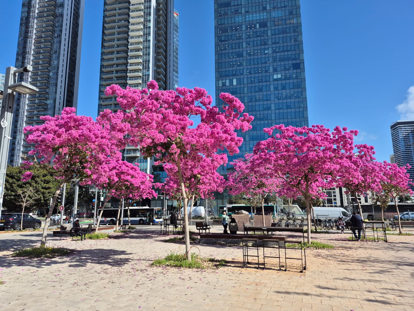 טבבויה איפה סנטה ברברה