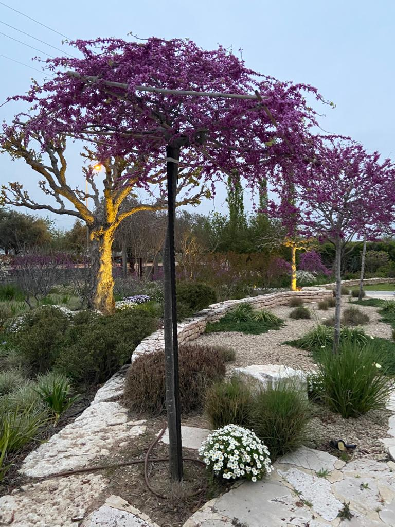 כליל בכותי 'טרוולר' 3