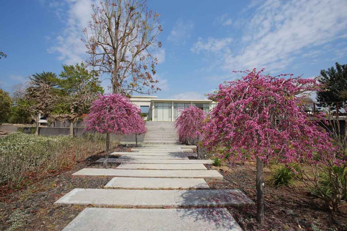 כליל בכותי טרוולר