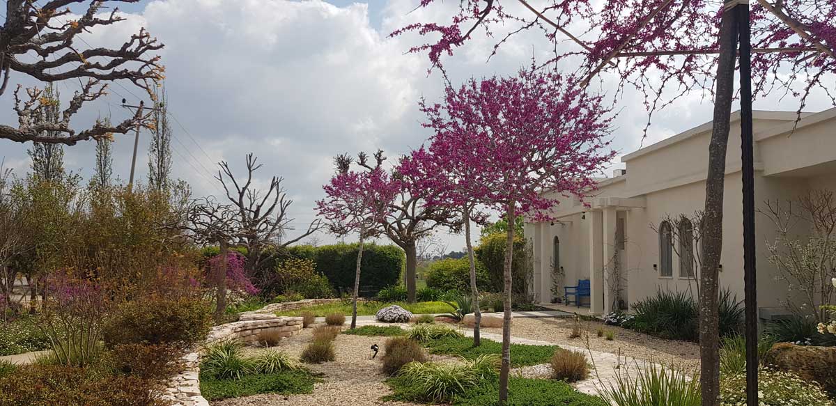 כליל ורוד אוקלהומה 9