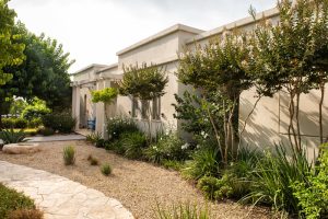 מדריך שתילה והשקיה