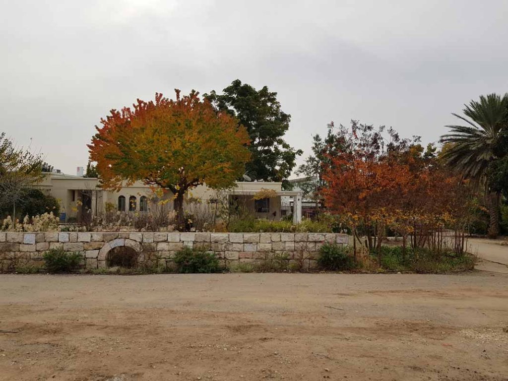 ספיון שעווה 'שלהבת' 4