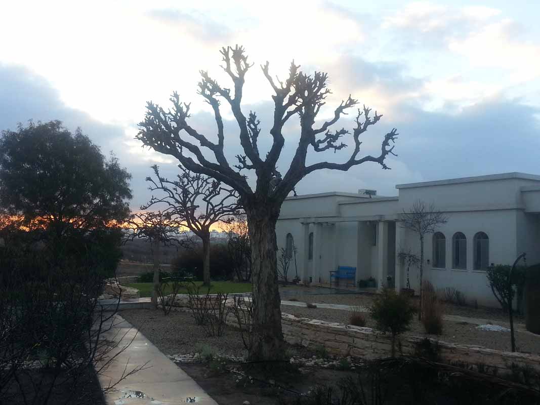 ספיון שעווה 'שלהבת' 5