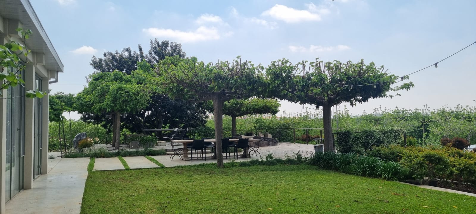 תות דולבני קגיאמה