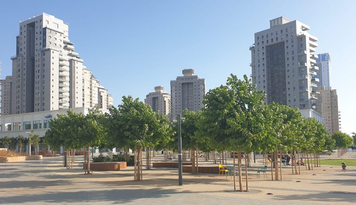 תות זכר עומרי 4