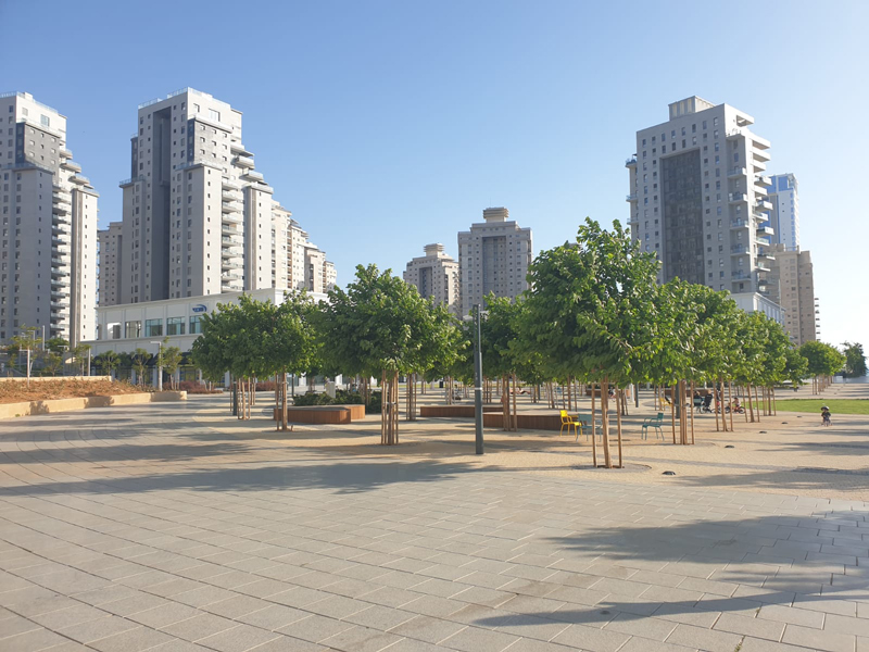 תות זכר עומרי 4