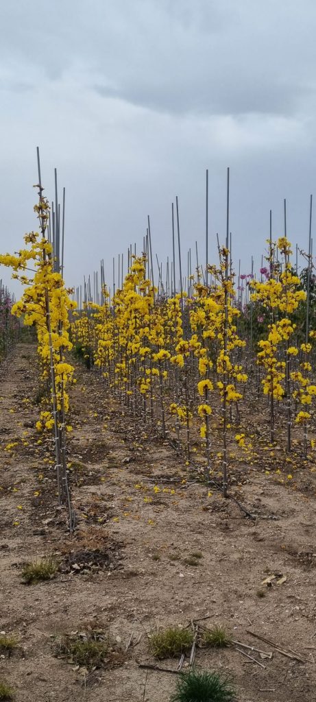 WhatsApp Image 2026-03-04 at 14.56.36 (2)